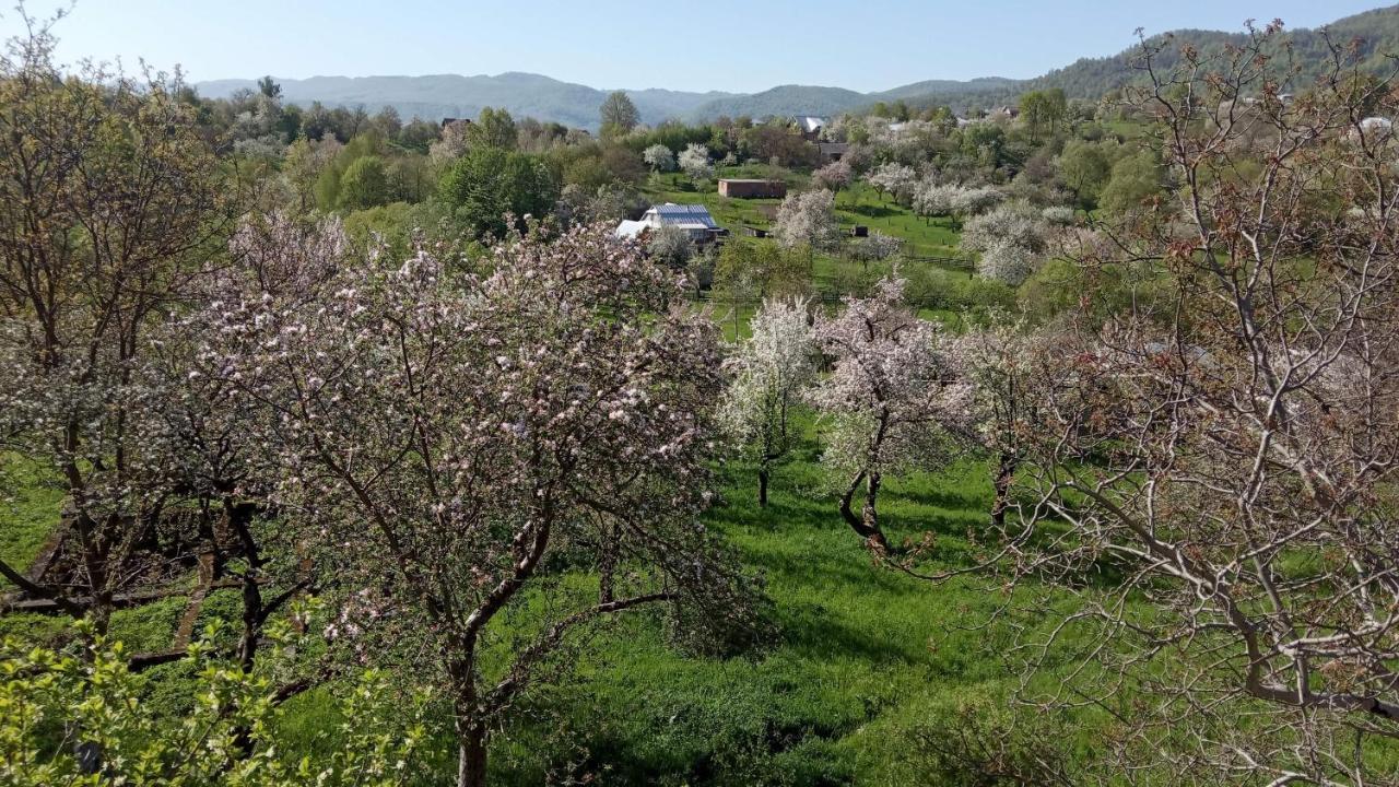Bat'kivska Hata Stari Kuty Exteriör bild