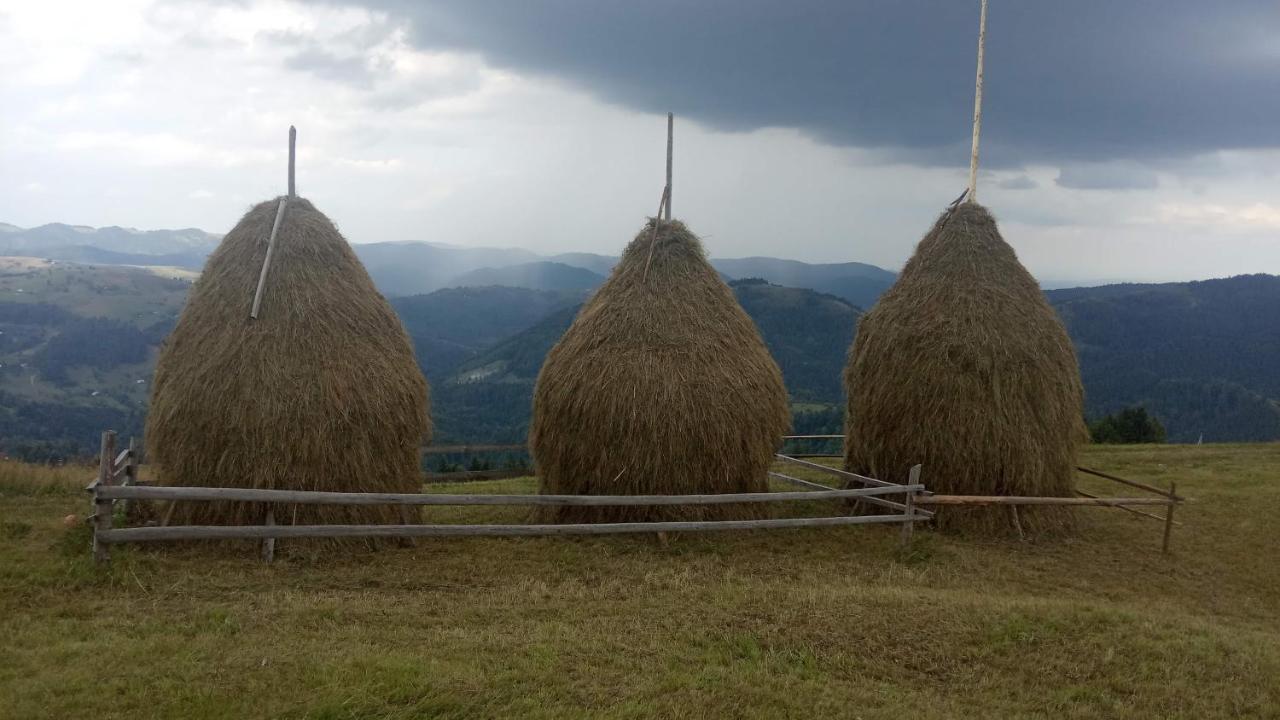 Bat'kivska Hata Stari Kuty Exteriör bild