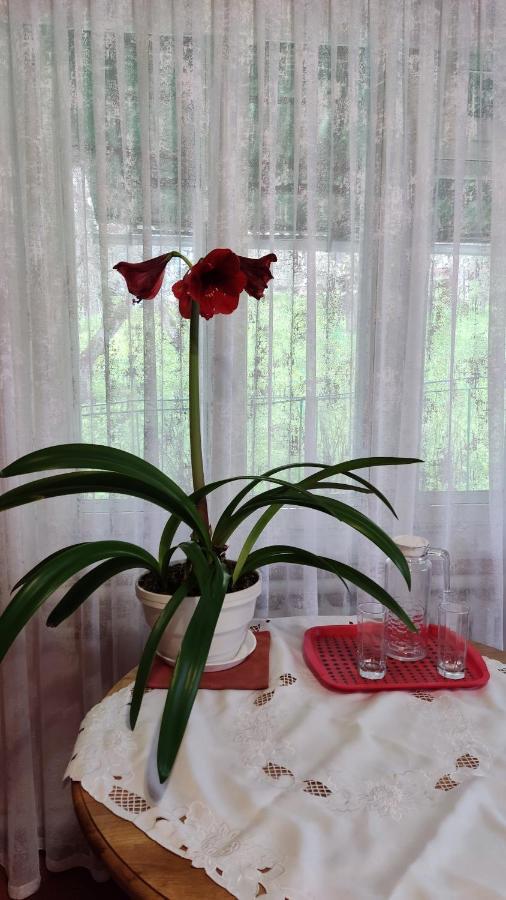 Bat'kivska Hata Stari Kuty Exteriör bild